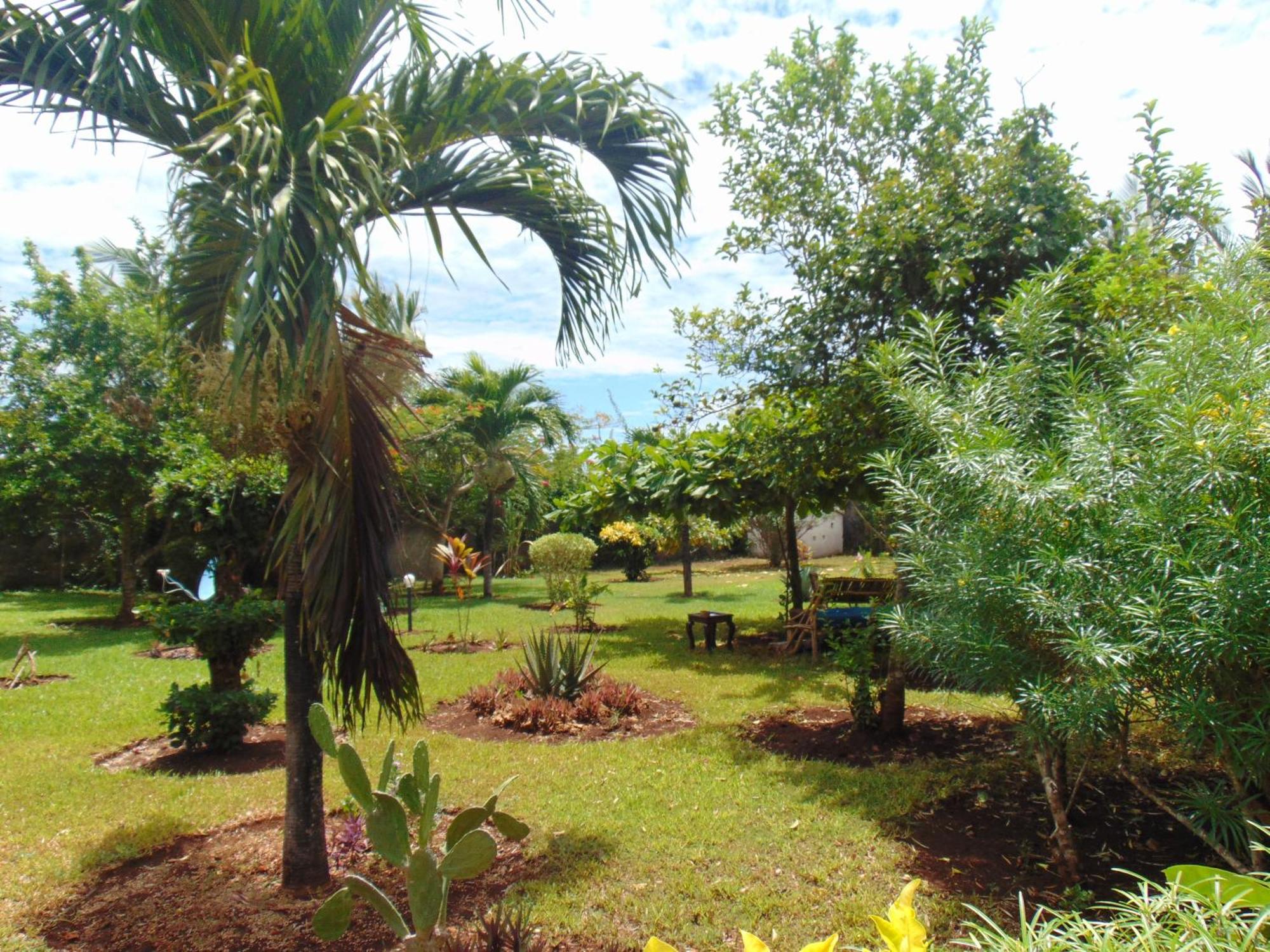 Villas Dora And Holly Playa de Diani Exterior foto